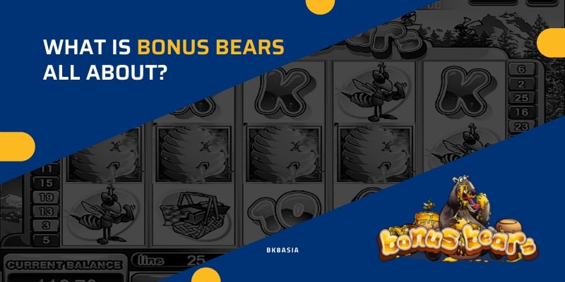 What Is Bonus Bears All About