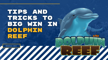 Tips And Tricks To Big Win In Dolphin Reef Slot